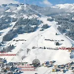 Alpenstern *