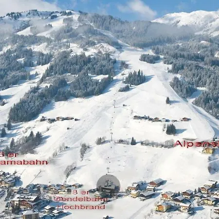 Alpenstern *