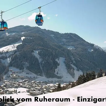 Alpenstern *